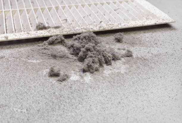Best HVAC Air Duct Cleaning  in Warroad, MN