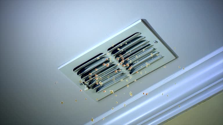 Best Affordable Air Duct Cleaning  in Warroad, MN