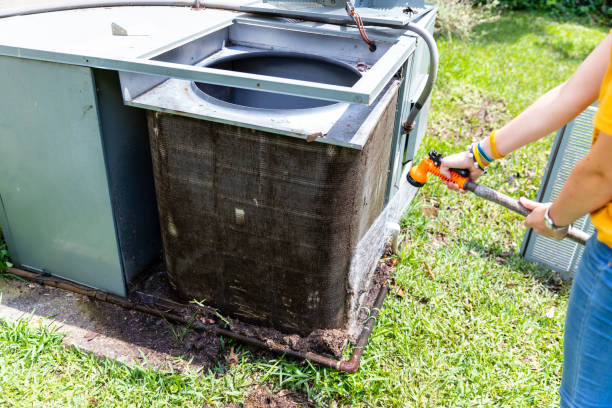 Best Ductwork Cleaning Services  in Warroad, MN