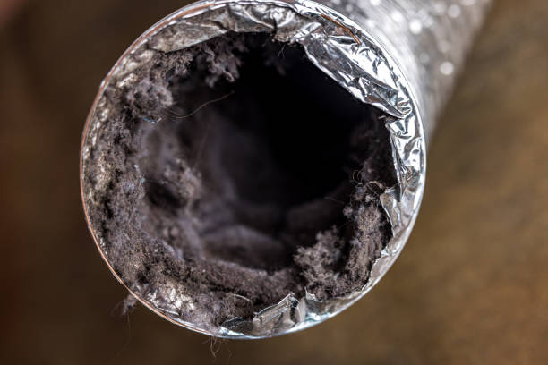 Best HVAC System Cleaning  in Warroad, MN