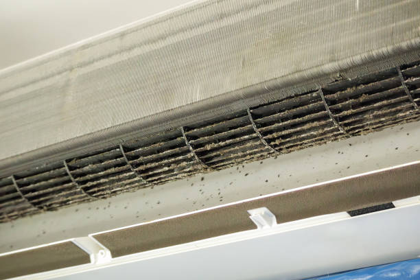 Best Commercial Air Duct Cleaning  in Warroad, MN